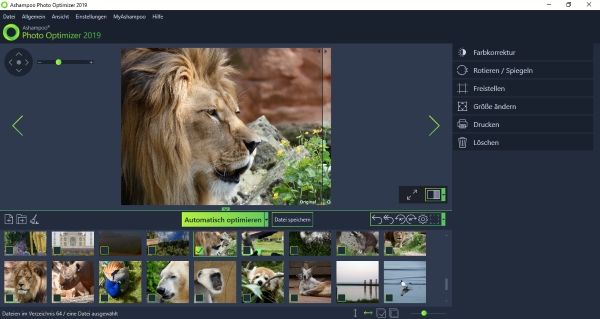 Ashampoo Photo Optimizer 2019 Foto geladen und bereits für Optimierung