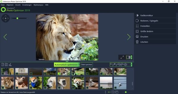 Ashampoo Photo Optimizer 2019 Foto optimiert