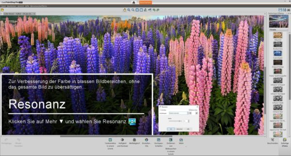 Nutzeroberfläche PaintShop Pro 2020 Ultimate