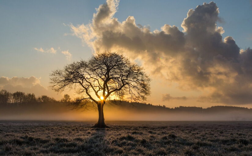 Landschaftsfotografie: Die besten Tipps für atemberaubende Bilder
