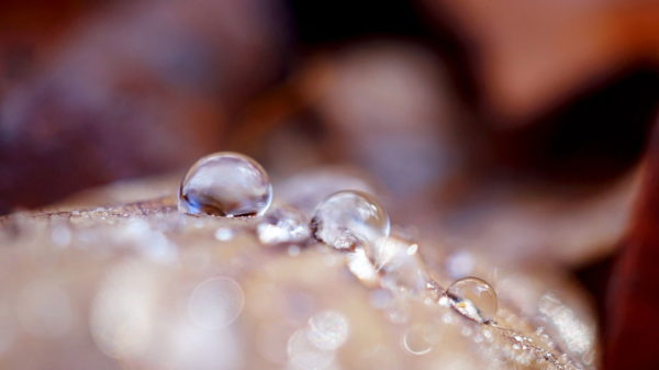 makrofotografie wassertropfen