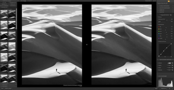 Silver Efex Pro
