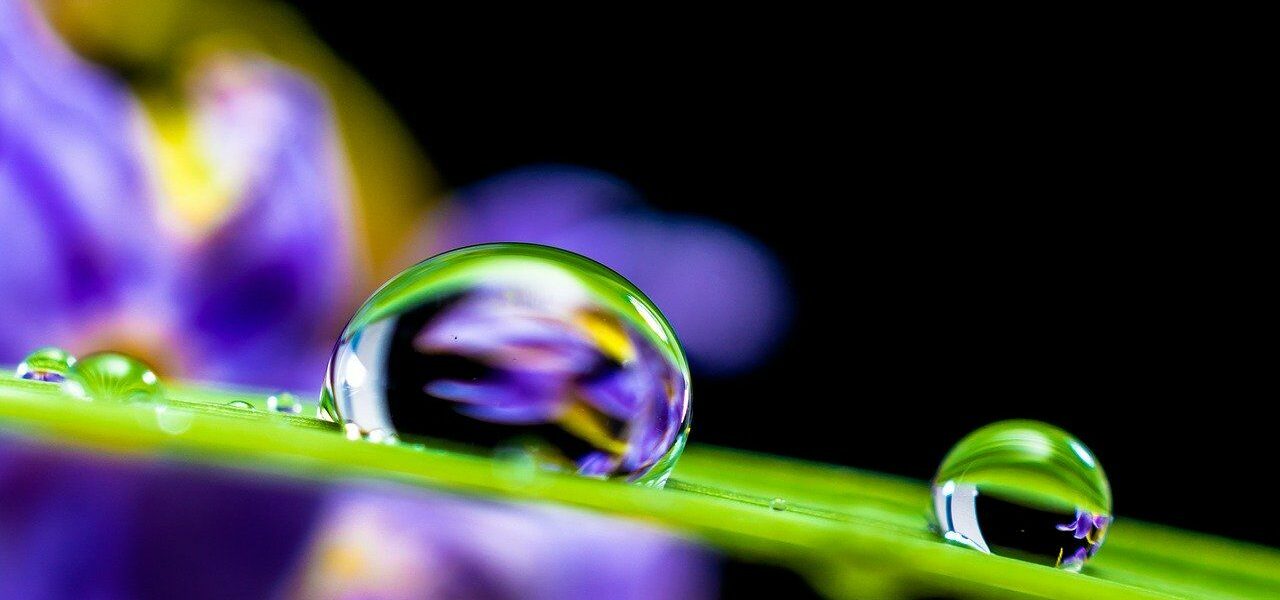 wassertropfen tropfen grashalm makro objektiv