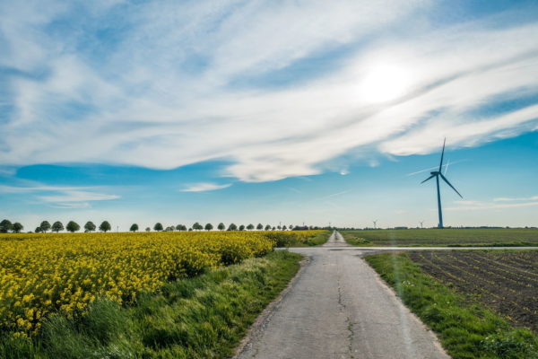 Landschaft mit Kompaktkamera fotografiert