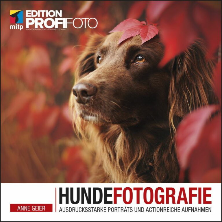 Hundefotografie: Ausdrucksstarke Porträts und actionreiche Aufnahmen