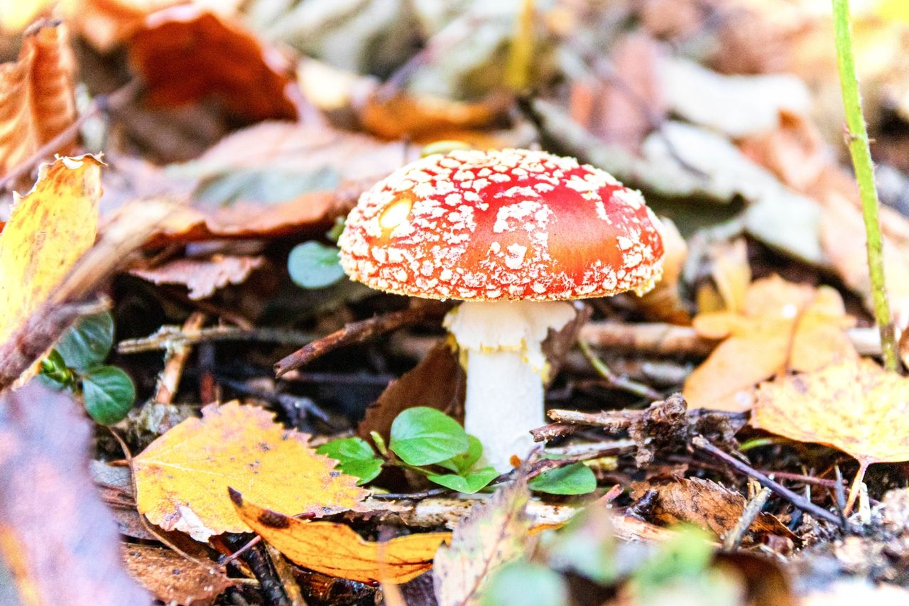 Belichtung in der Fotografie DirksFotoecke