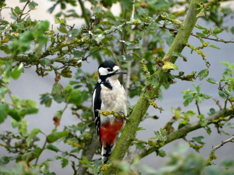 Sensorgrößen in Kameras: Sensorformate im Vergleich
