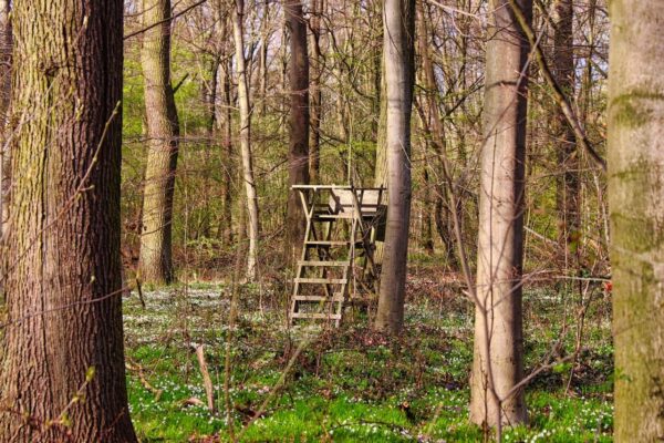 Tipps für atemberaubende Naturfotografie Naturfotografie Tipps