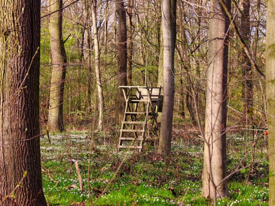 naturfotografie tipps 1 Naturfotografie Tipps