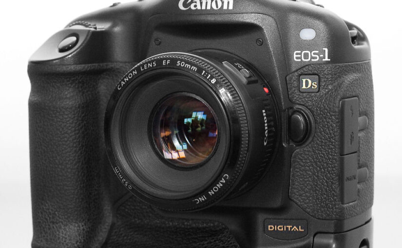 Vollformat-Kamera vs. Crop-Sensor: Was ist die bessere Wahl?
