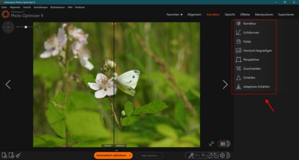 manuelle Korrekturen in Ashampoo Photo Optimizer 9