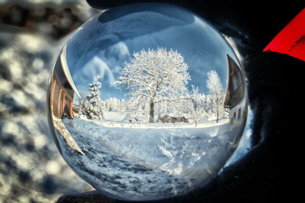 Baumfotos durch Lensball