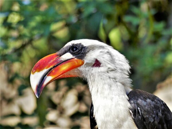 mit den richtigen Einstellungen im Zoo fotografieren