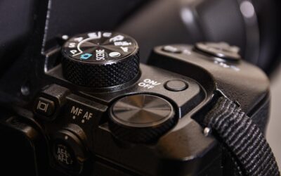 Kamera Einstellungen für Wildtierfotografie