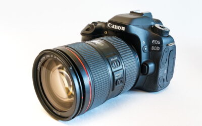 Canon EOS 80D für Vogelfotografie