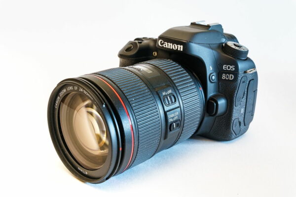 Canon EOS 80D für Vogelfotografie