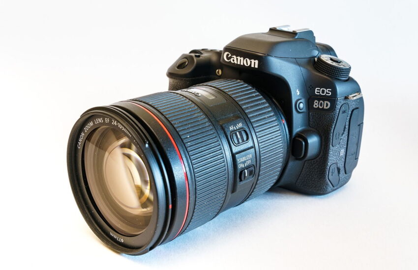Canon EOS 80D für Vogelfotografie