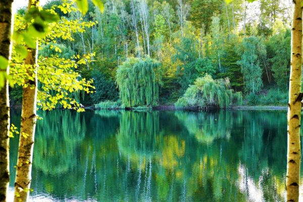 Landschaft im Herbst mit Weitwinkelobjektiv fotografiert