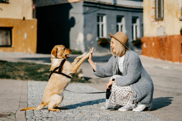 eine weitere Person als Unterstützung in der Hundefotografie