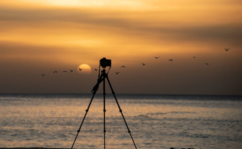 5 Tipps für scharfe Fotos mit einem Stativ