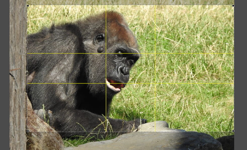 Bildgestaltung in der Fotografie mit dem Goldenen Schnitt