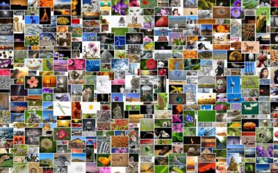 Fotos drucken lassen oder besser selbst drucken