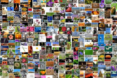 Fotos drucken lassen oder besser selbst drucken