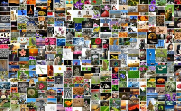 Fotos drucken lassen oder besser selbst drucken