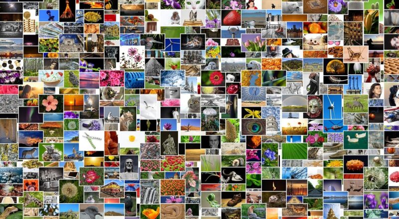 Fotos drucken lassen oder besser selbst drucken