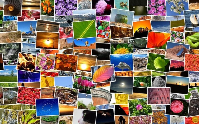 Software zur Fotoverwaltung