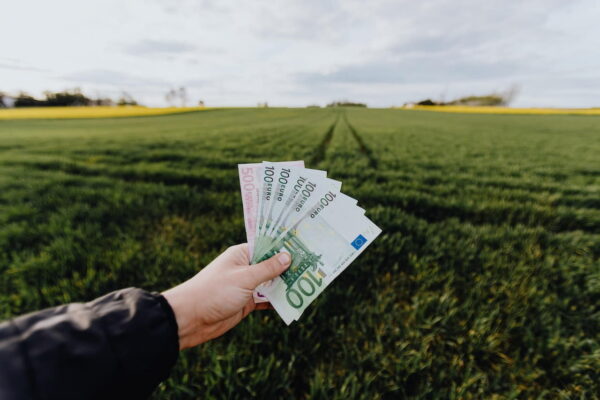 Budget für die Objektivauswahl im Auge behalten Budget für die Objektivauswahl im Auge behalten