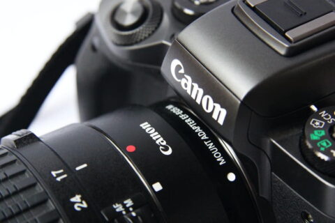 Fotografie für Anfänger mit der richtigen Kamera