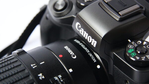 Fotografie für Anfänger mit der richtigen Kamera Fotografie für Anfänger mit der richtigen Kamera