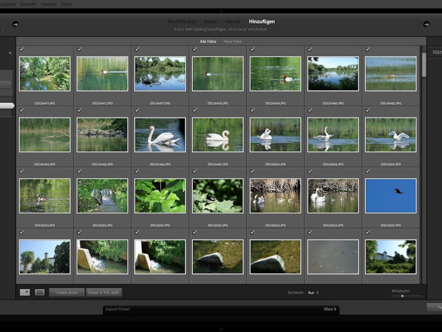 Lightroom