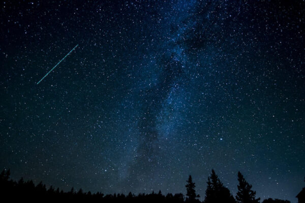 Sternschnuppe am Nachthimmel über Wald