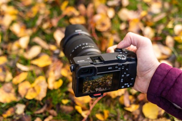 Kameras für Landschaftsfotografie