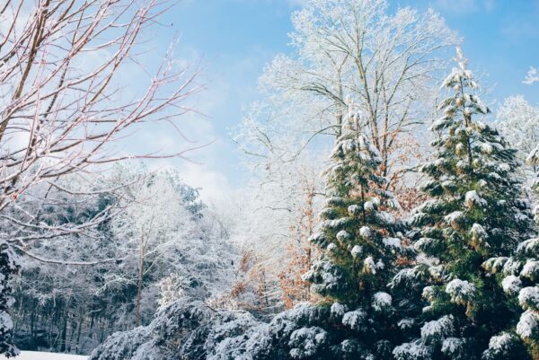 Fotografieren im Winter