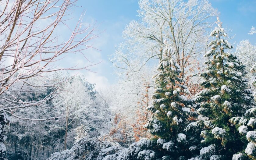Fotografieren im Winter