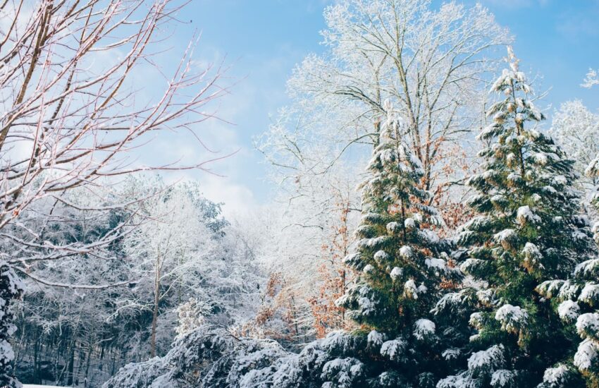 Fotografieren im Winter