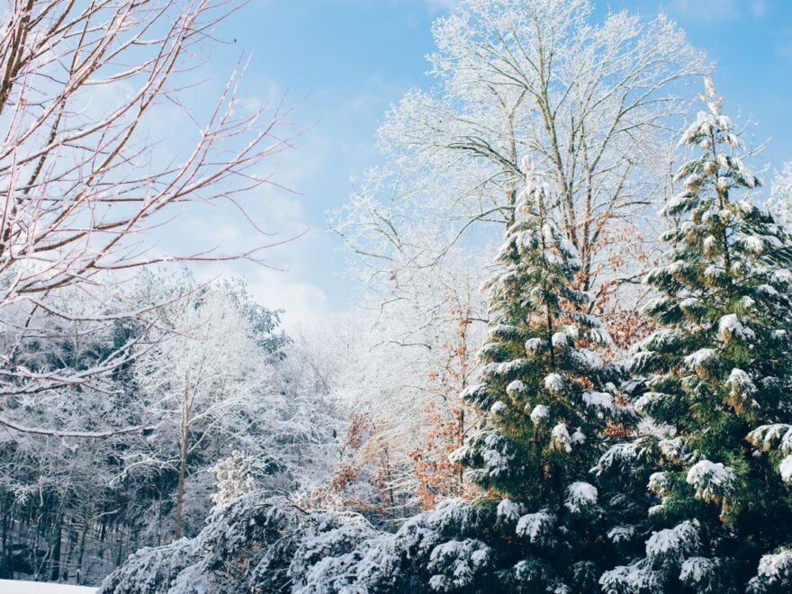 Fotografieren im Winter