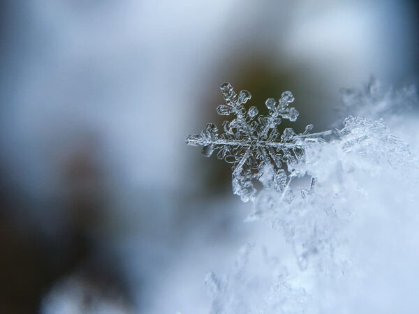 Schneeflocke fotografieren