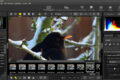 RAW in JPG umwandeln