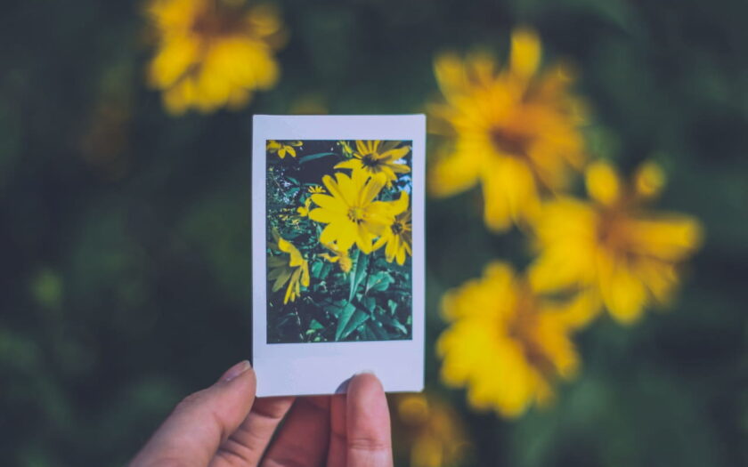 Sofortbilddrucker Sofortbild in der Hand