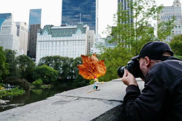 Fotografieren selbst lernen