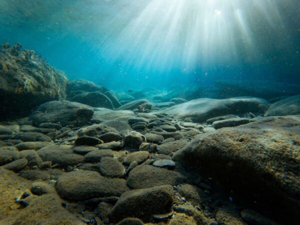 Unterwasserfotografie Licht und Komposition