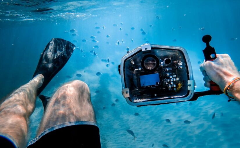 Unterwasserfotografie lernen: Der große Ratgeber für Einsteiger & Hobbytaucher
