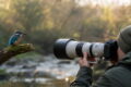 Fotograf mit Teleobjektiv fotografiert einen Eisvogel in natürlicher Umgebung