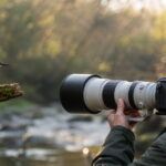 Fotograf mit Teleobjektiv fotografiert einen Eisvogel in natürlicher Umgebung