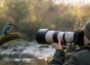 Fotograf mit Teleobjektiv fotografiert einen Eisvogel in natürlicher Umgebung