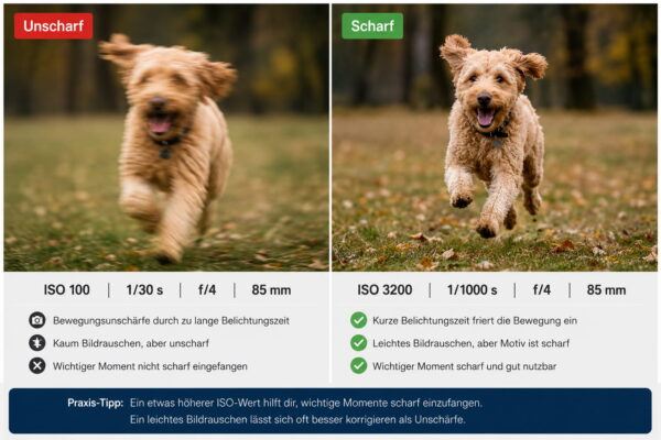 ISO-Wert: Scharfes Foto statt Bewegungsunschärfe Vergleich zwischen unscharfem Foto bei ISO 100 und scharfem Foto bei ISO 3200 mit kurzer Belichtungszeit